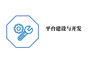 平臺(tái)建設(shè)與開(kāi)發(fā)