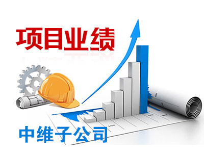 中維子公司項目業(yè)績